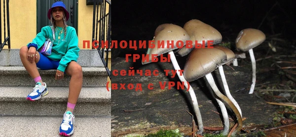 не бодяженный Арсеньев
