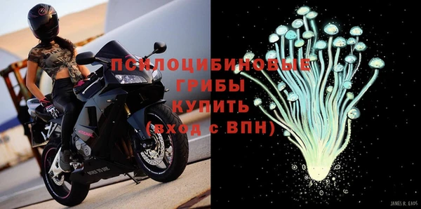 не бодяженный Армянск
