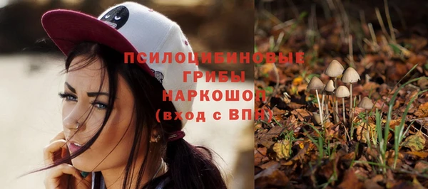не бодяженный Арсеньев