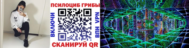 shop формула  Волхов  Псилоцибиновые грибы прущие грибы  где купить  