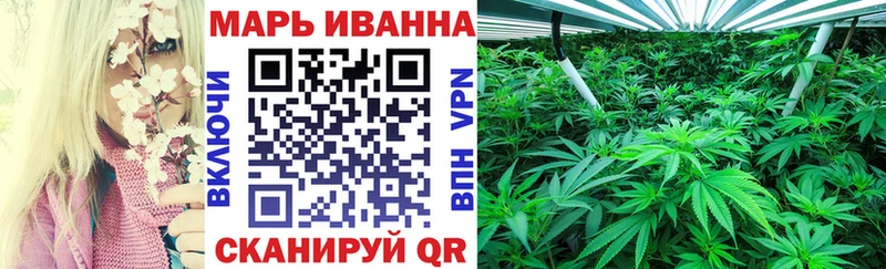 наркотики  Волхов  Бошки марихуана план 